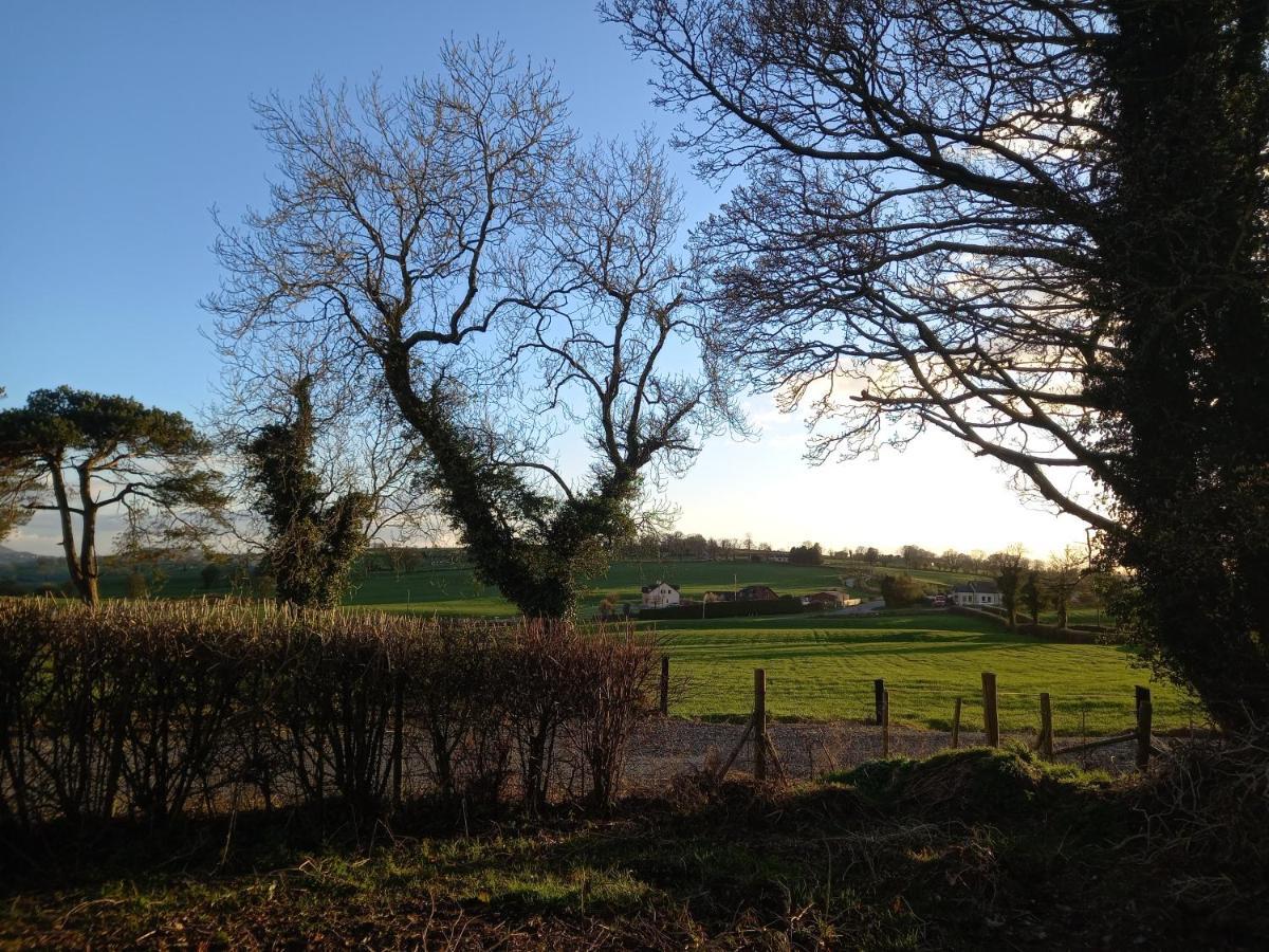 Derrywilligan Guest Accommodation Bessbrook Esterno foto